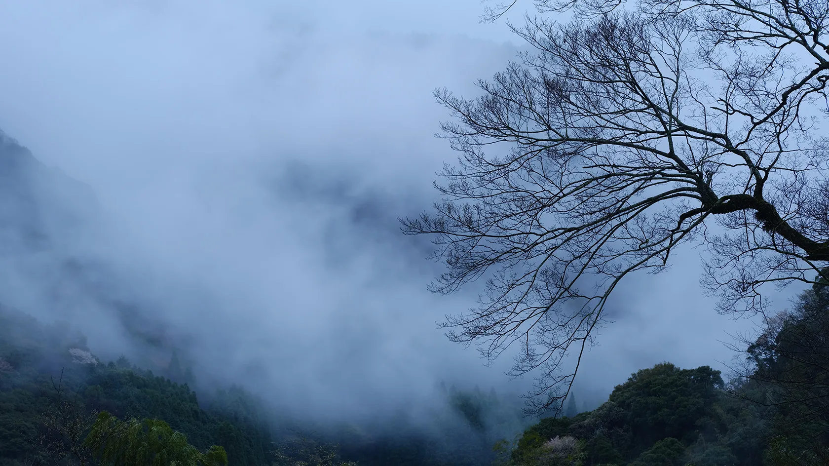 田園の向こうの山岳風景に深い霧がかかる（宇佐市安心院町）