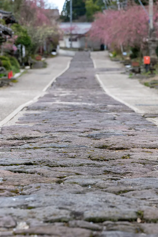 今市石畳。例年3月下旬には沿道のシダレザクラが見頃を迎え、観光客で賑わう