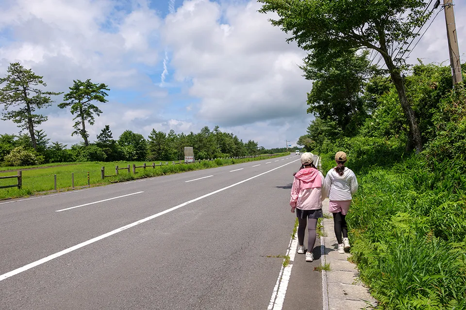 国道442号の側道は狭いので要注意