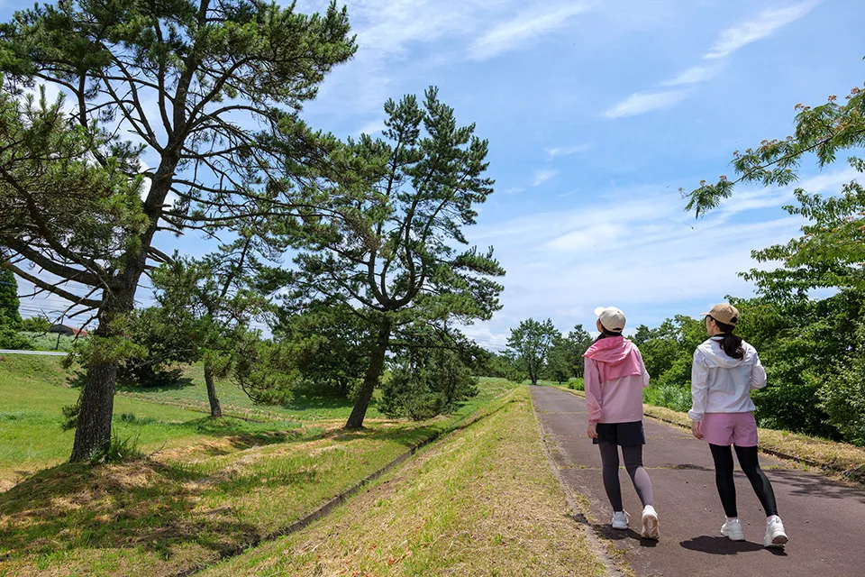 江戸時代に植えられた松の木