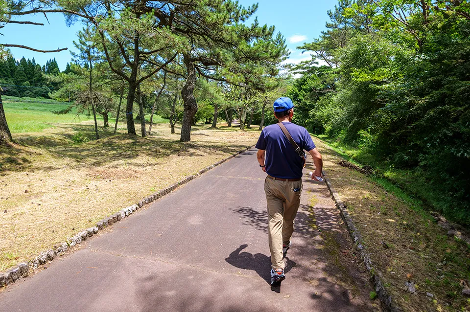 お気に入りの松並木の道を歩く森さん