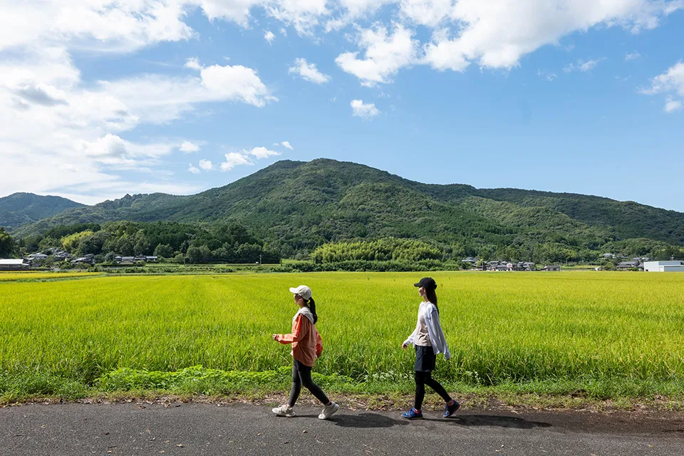 県道34号から折れて、ほたるの館へ向かう道に入ると、一気に里山の風景が広がる。奥に見えるのは西叡山（さいえいざん）