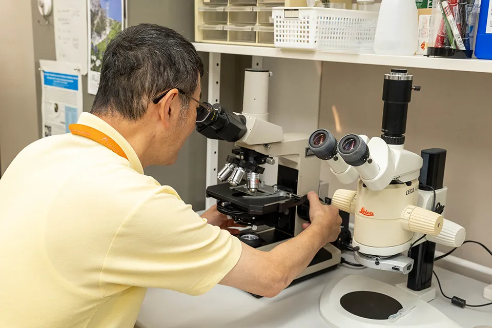 国立科学博物館 植物研究部長の細矢剛さん