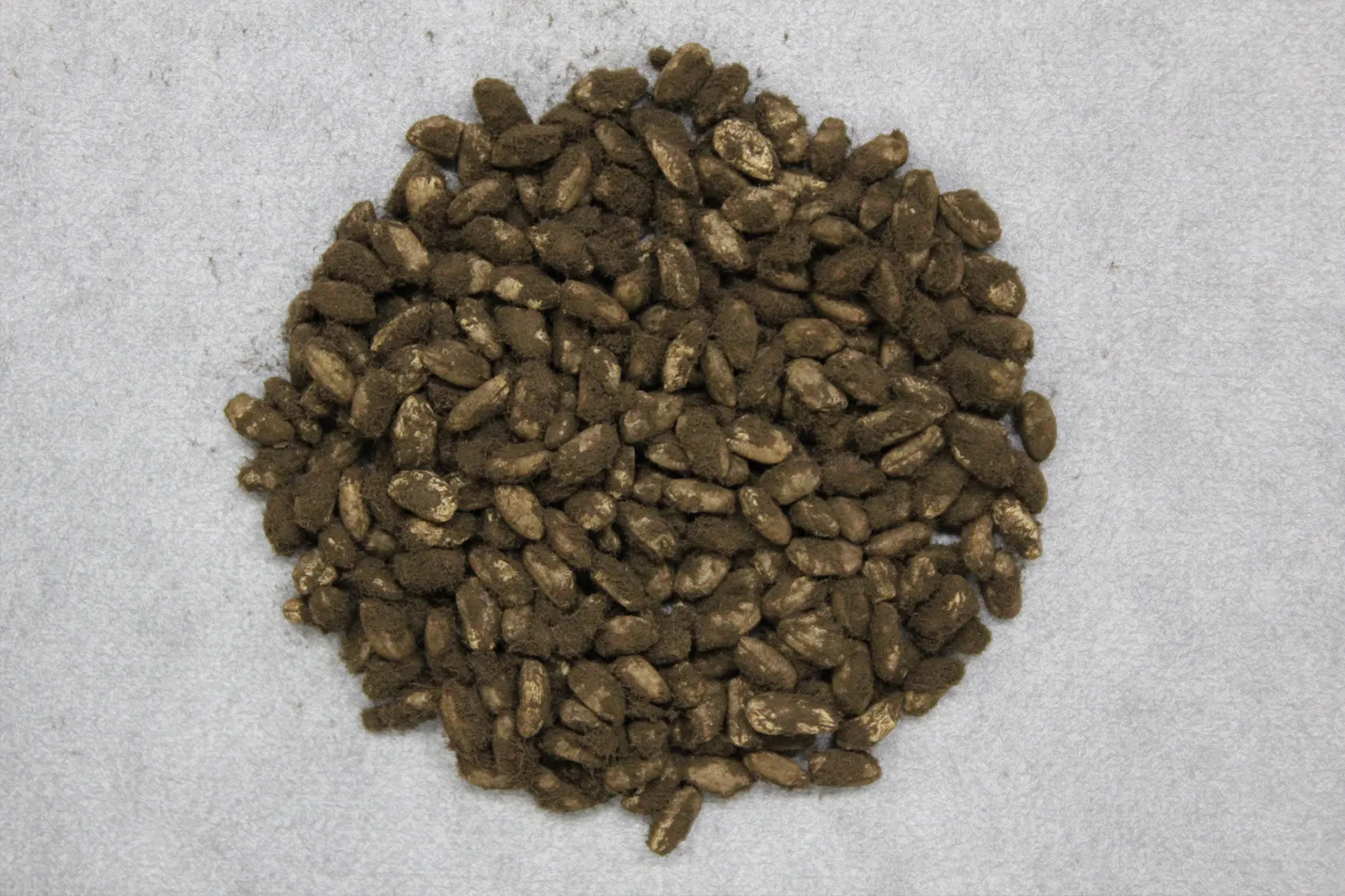 三和酒類 取締役会長 下田雅彦